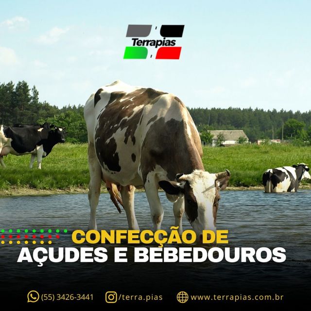 Aqui na Terra Pias realizamos projetos personalizados para cada cliente, considerando as necessidades específicas do terreno e a finalidade do açude ou bebedouro (irrigação, criação de animais, etc.). 

Dispomos de máquinas e equipamentos próprios, como escavadeiras, caminhões e retroescavadeiras, o que agiliza e otimiza os trabalhos.

Conte com a gente para te ajudar a otimizar sua propriedade. 

Entre em contato e faça seu orçamento através dos telefones (55) 3426-3441 ou (55) 9.9986-8505.

#Bebedouros #Açudes #Obra #Engenharia #TerraPias #ConstruçãoCivil #Alegrete #fronteiraoeste
